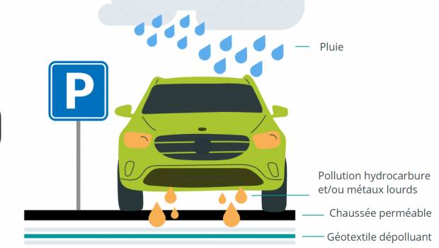 Les champignons de MP Géotex mangent les hydrocarbures et dépolluent l'eau des parkings