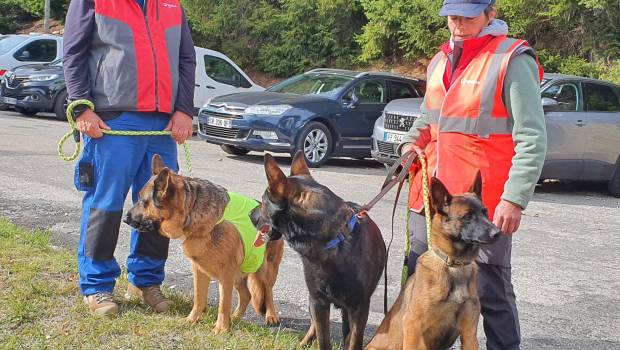 Une brigade canine contre les fuites