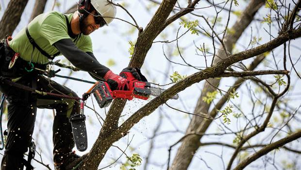 Milwaukee complète sa gamme d’outils électroportatifs pour les travaux agricoles et forestiers