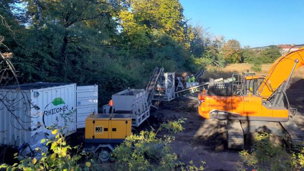 Rhizomex : le référent de l’élimination des renouées du Japon