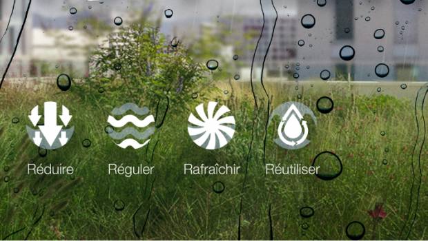 Soprema et Aquatiris présentent Skywater Clear, une solution de traitement végétalisé des eaux usées en toiture