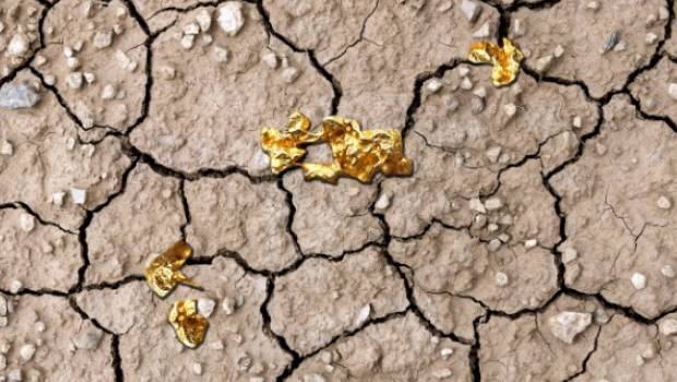 De l’or dans les boues