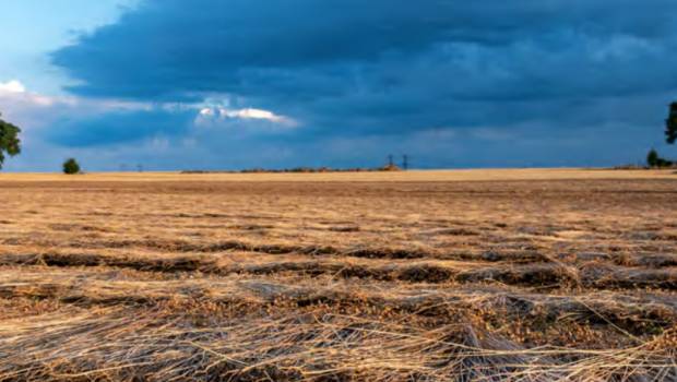 Vers une bioéconomie en Île-de-France