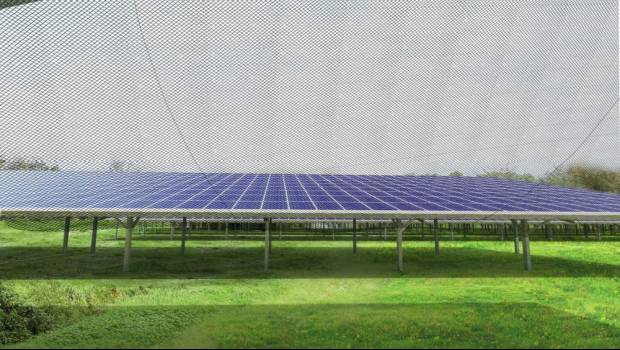 UNITe construit une volière photovoltaïque en un temps record