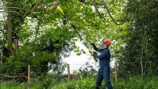 Ryobi continue de dévoiler ses nouveautés avec un nouveau souffleur et un élagueur sur perche alimentés par batterie