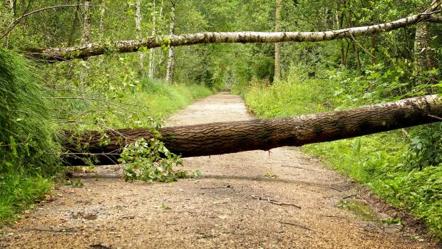 La tempête Ciaran a mis à mal les réseaux électriques