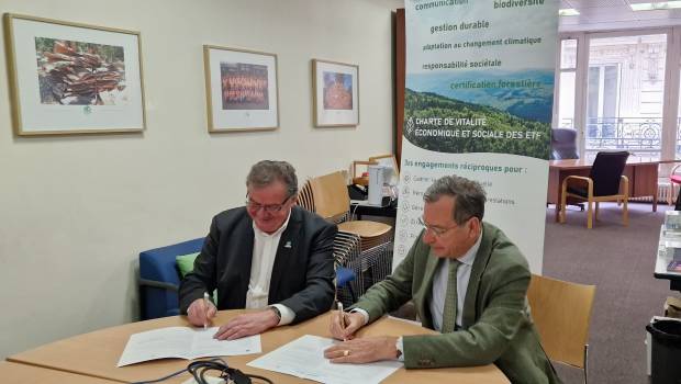 Coopératives forestières et FNEDT s’associent pour assurer un avenir durable aux forêts françaises