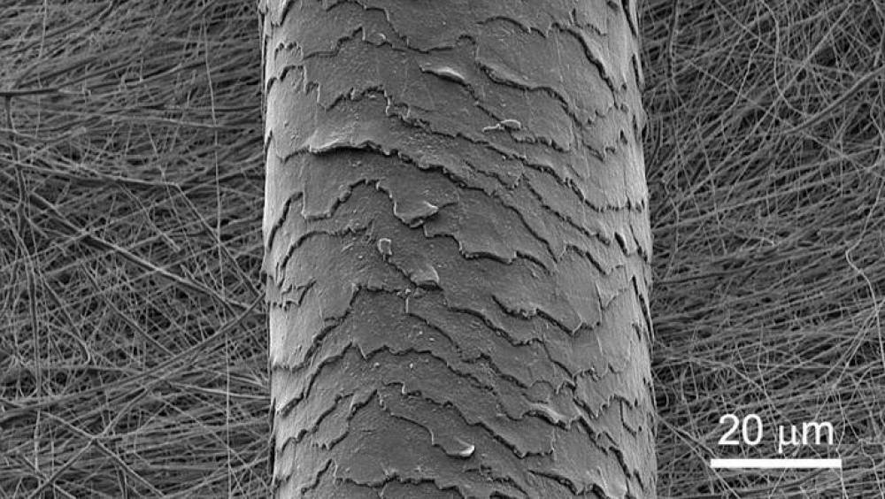 Michelin, le CNRS et l’Université de Strasbourg en quête de matériaux nanofibreux innovants