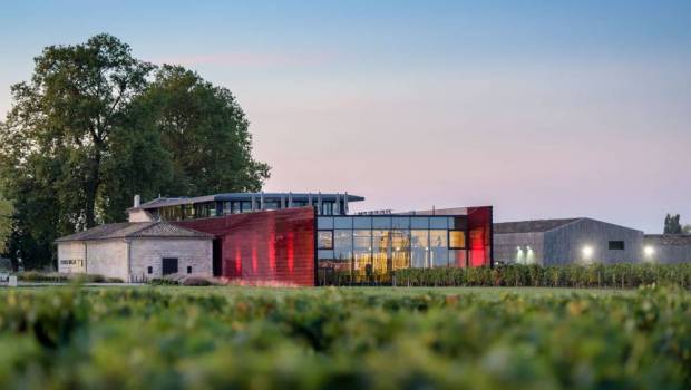 [Grand format] Un amour de terre à terre 3/6 : Les prestigieux Grands Crus des Vignobles Fayat