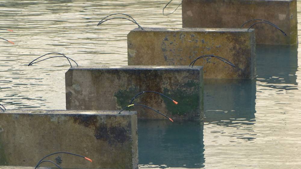 Un GIS pour la recherche sur la durabilité des ouvrages en béton