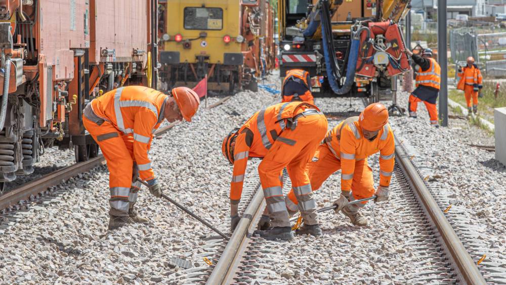 L’insertion professionnelle, vecteurs de nouveaux talents