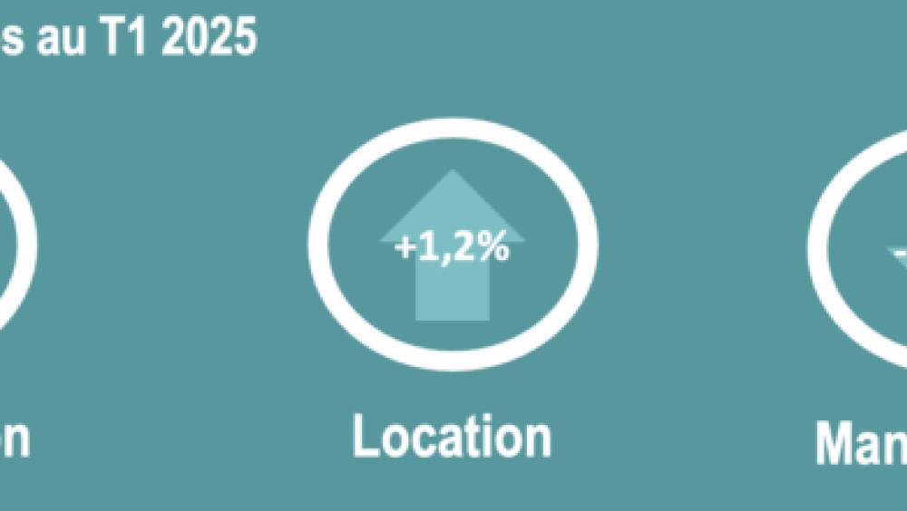 Baromètre DLR T1 2025 : la location solide quand la distribution recule