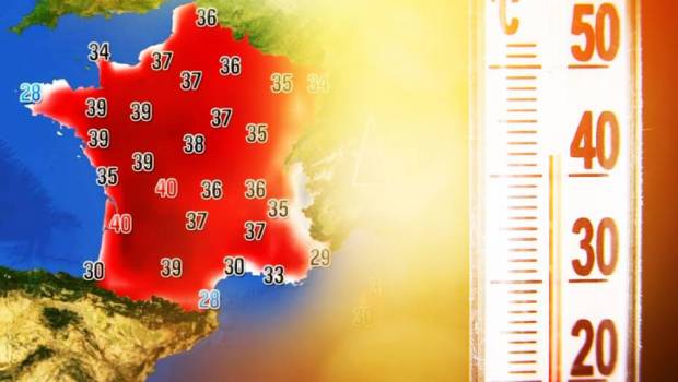[Tribune] Alerte canicule : tous vigilants