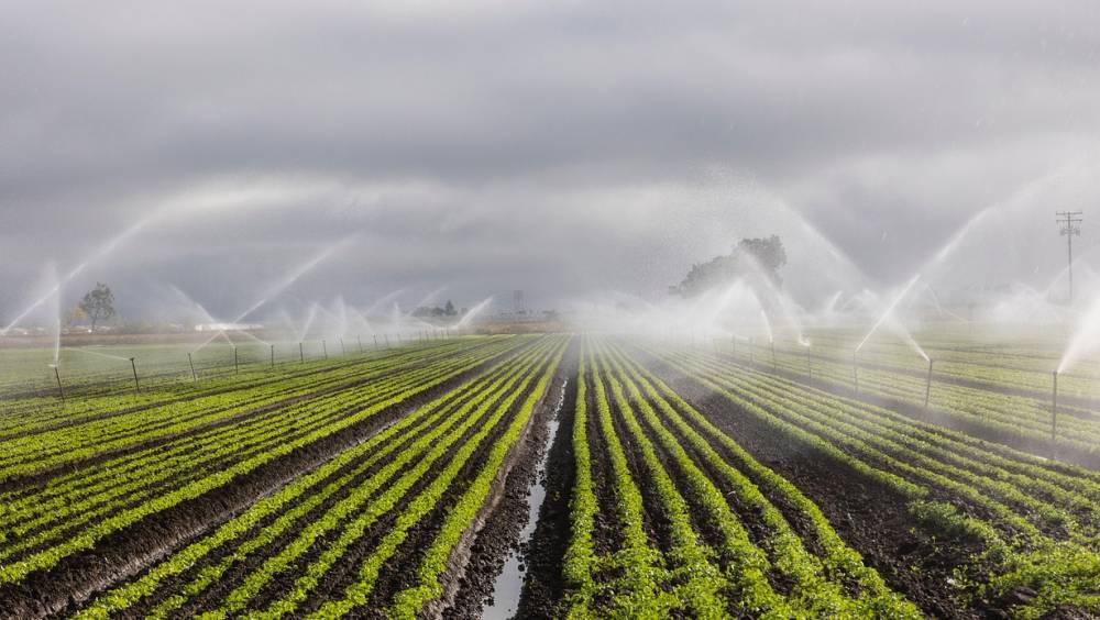 BPM Waters naît du rapprochement de TPI et Chesneau Irrigation