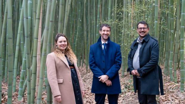 Le bambou, alternative innovante et naturelle pour le traitement des eaux